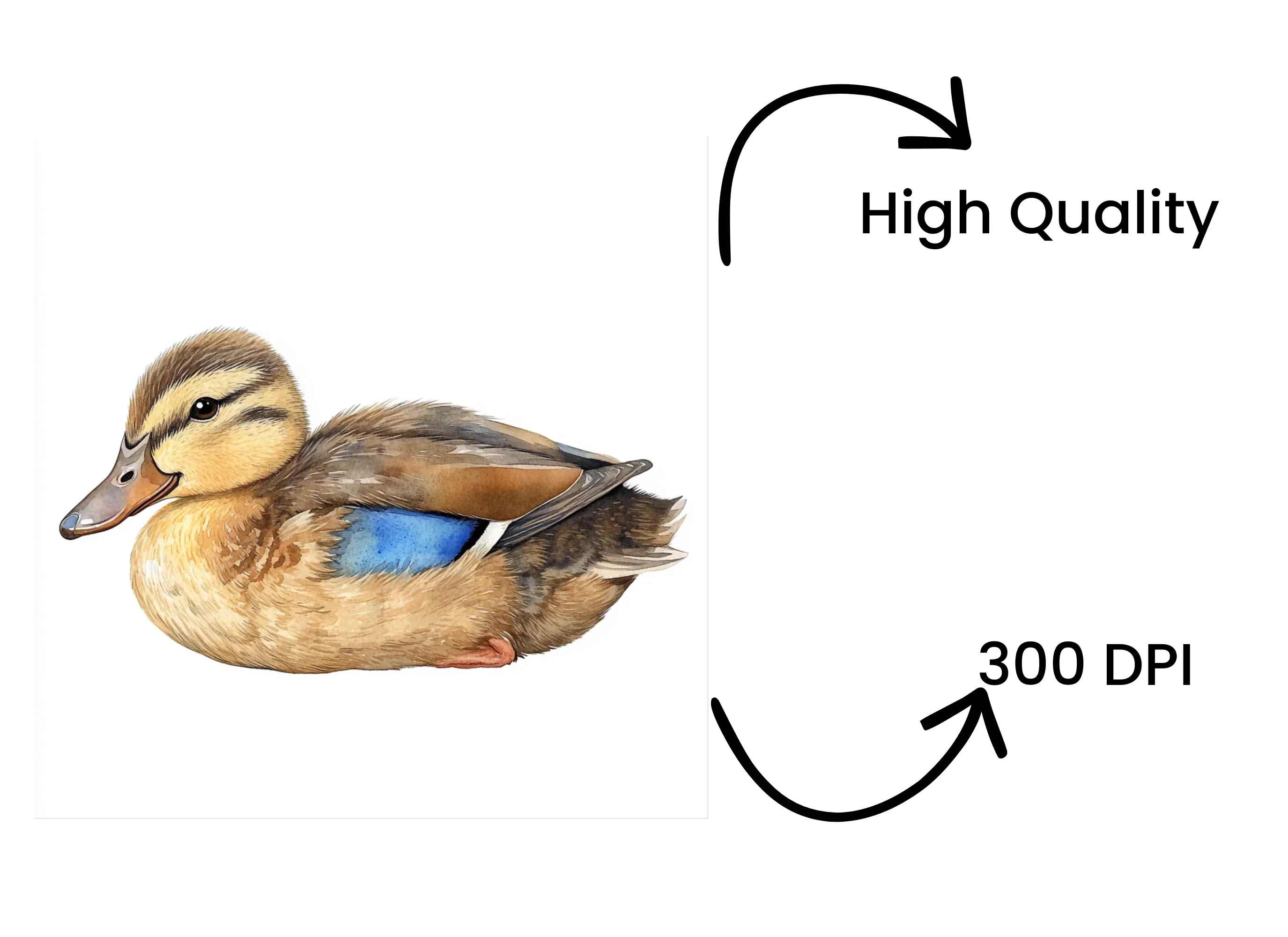 Adorable Duckling Clipart Bundle - Image 4