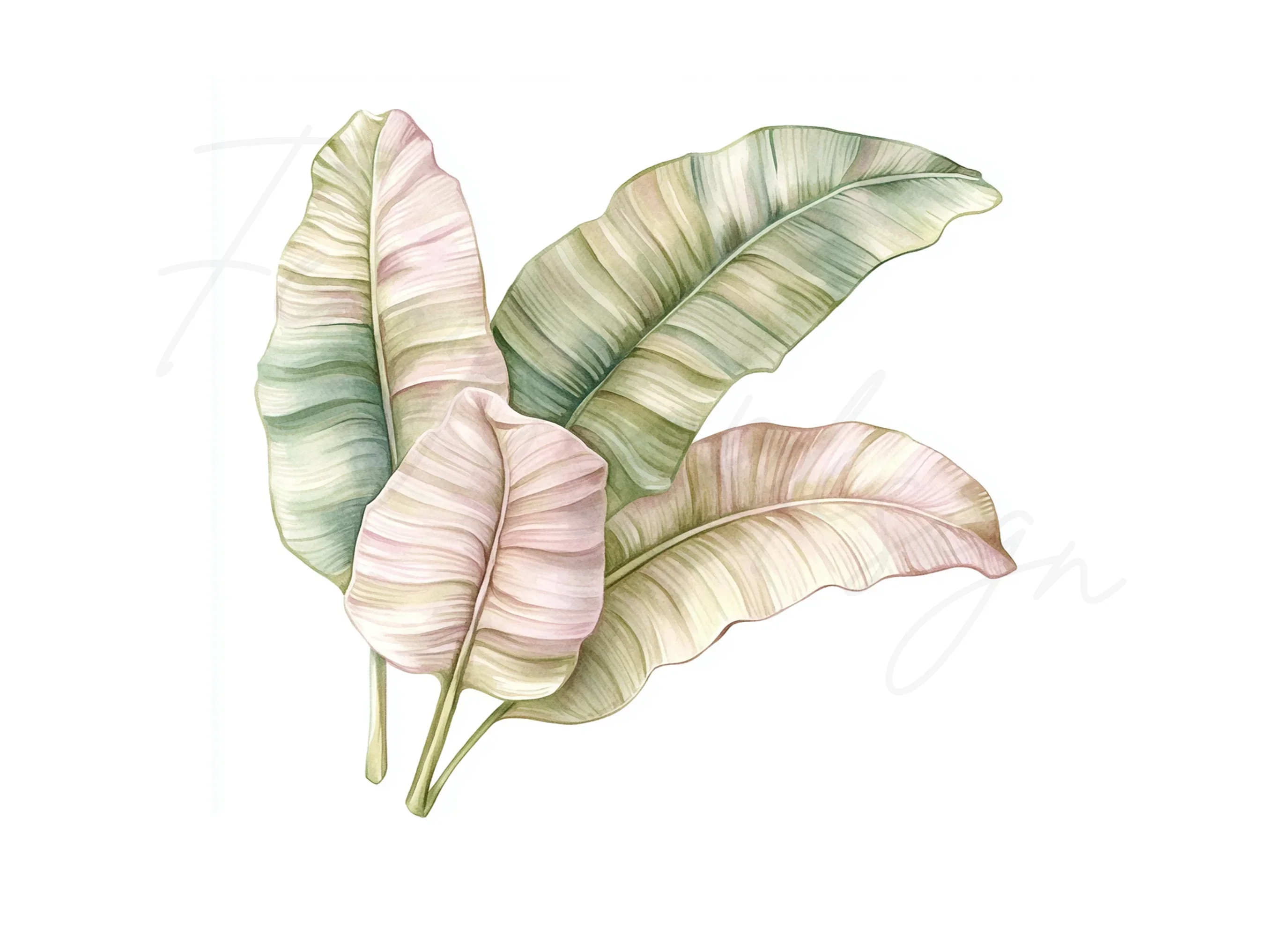 Banana Leaf Clipart Bundle - Image 3