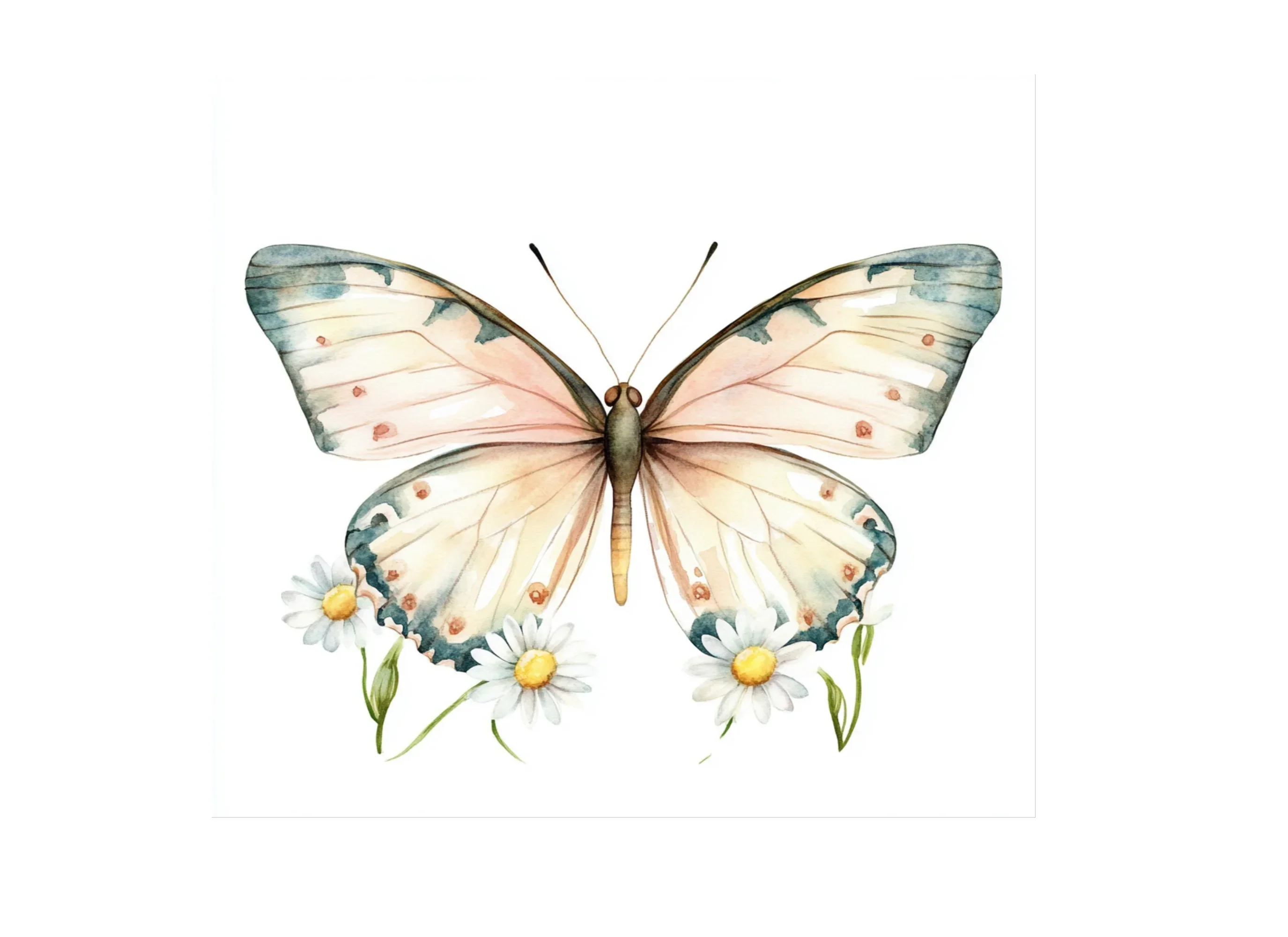 Butterflies and Daisies Clipart Bundle - Image 3