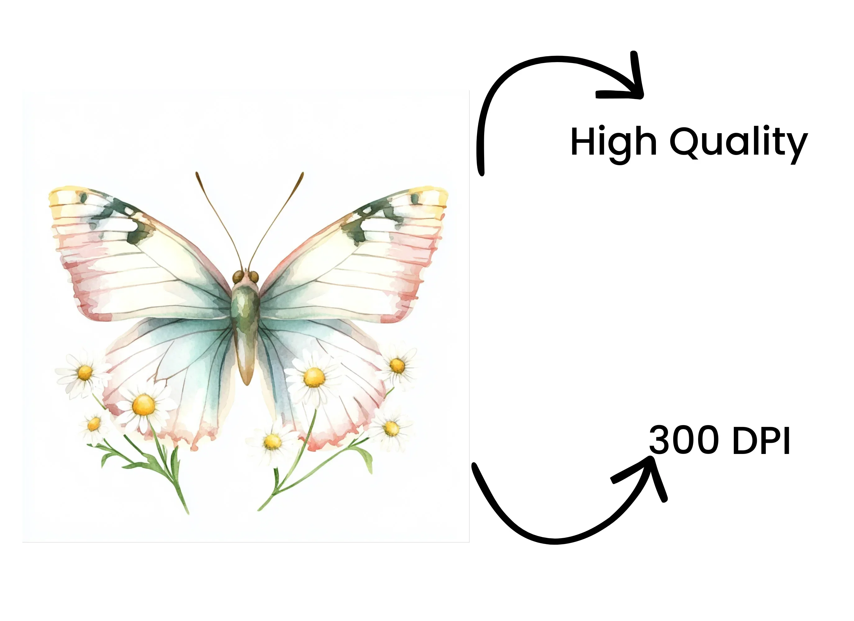 Butterflies and Daisies Clipart Bundle - Image 4