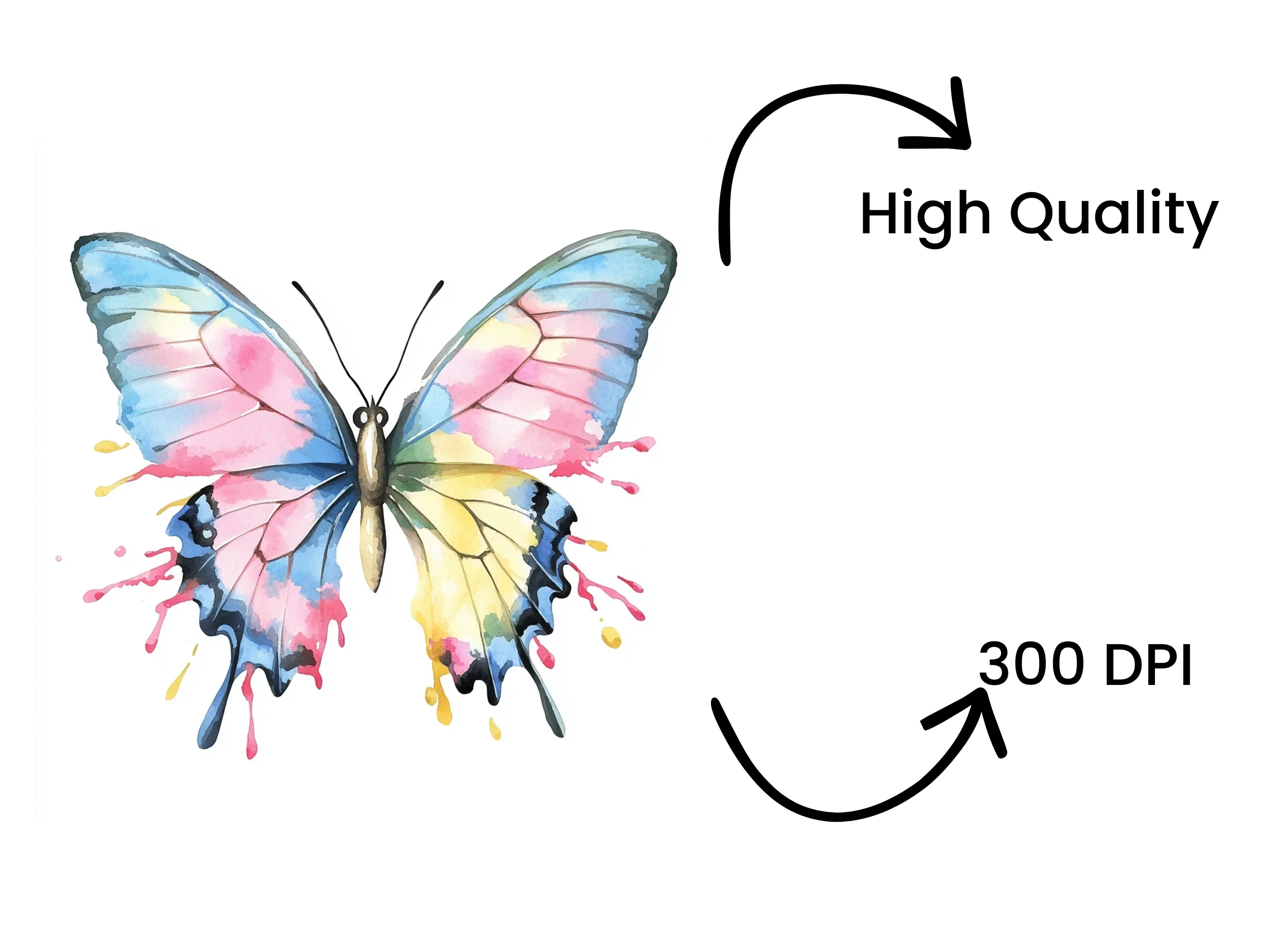 Butterfly Clipart Bundle - Image 4