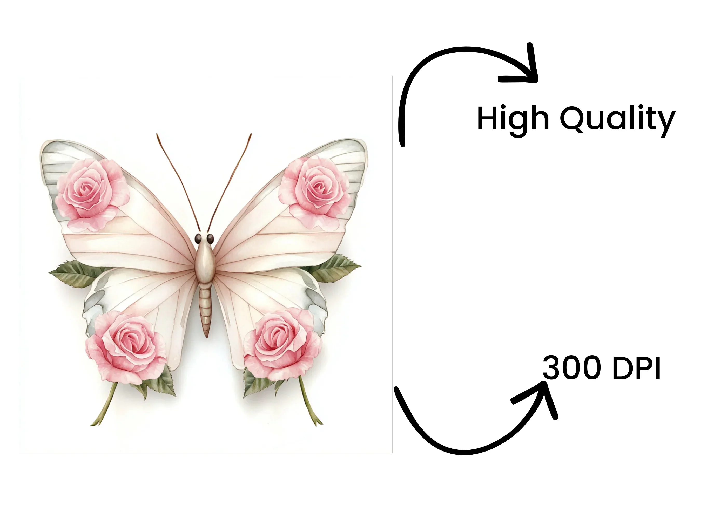 Butterfly Rose Clipart Bundle - Image 4