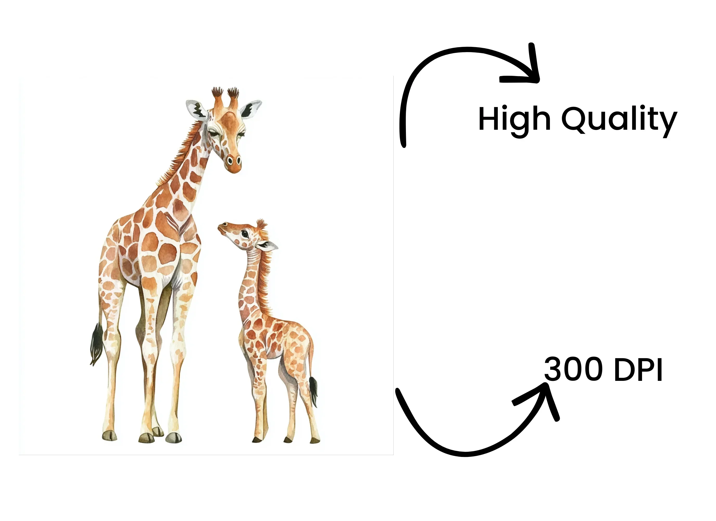 Animals Clipart - Image 4