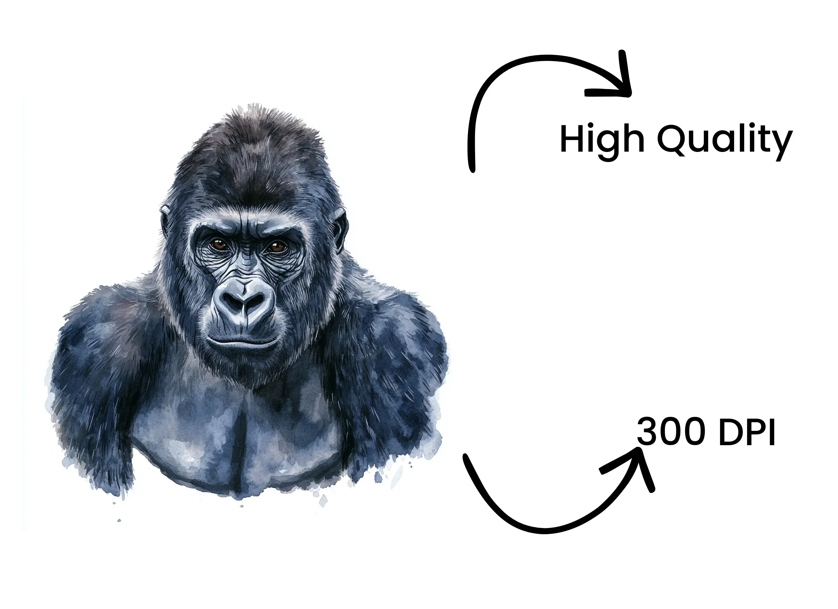 Gorilla Head Bust Clipart Bundle - Image 4