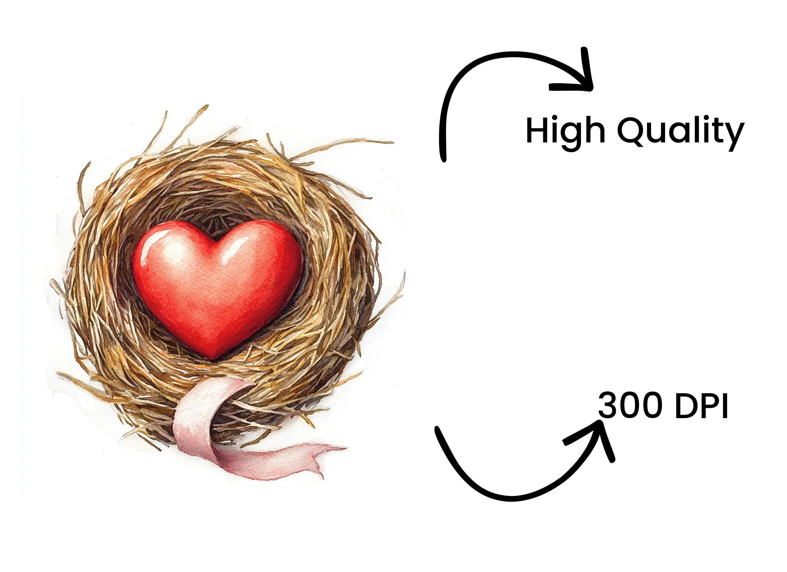 Heart in Nest Clipart Bundle - Image 4