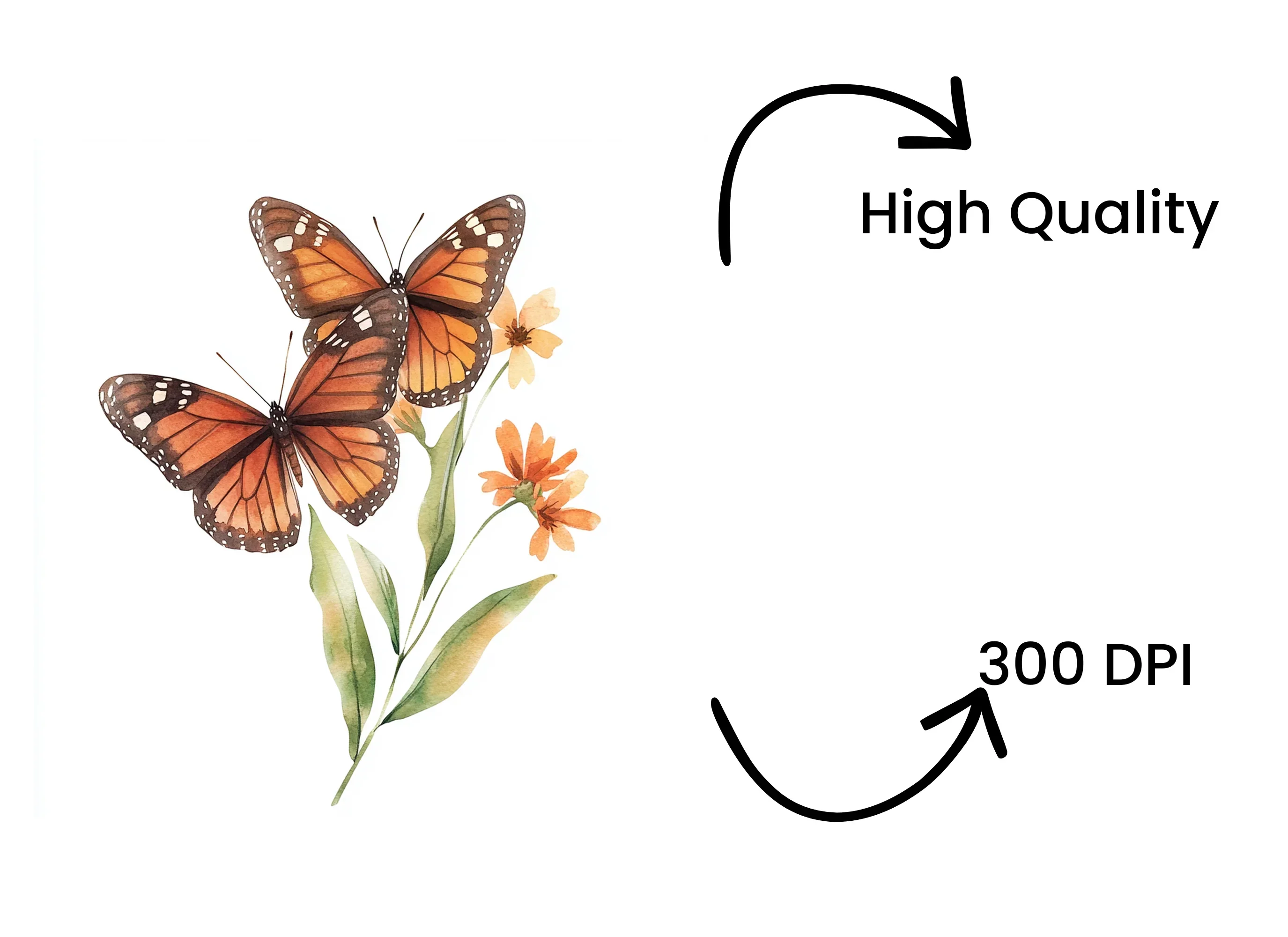 Monarch Butterflies and Flowers Clipart Bundle - Image 4