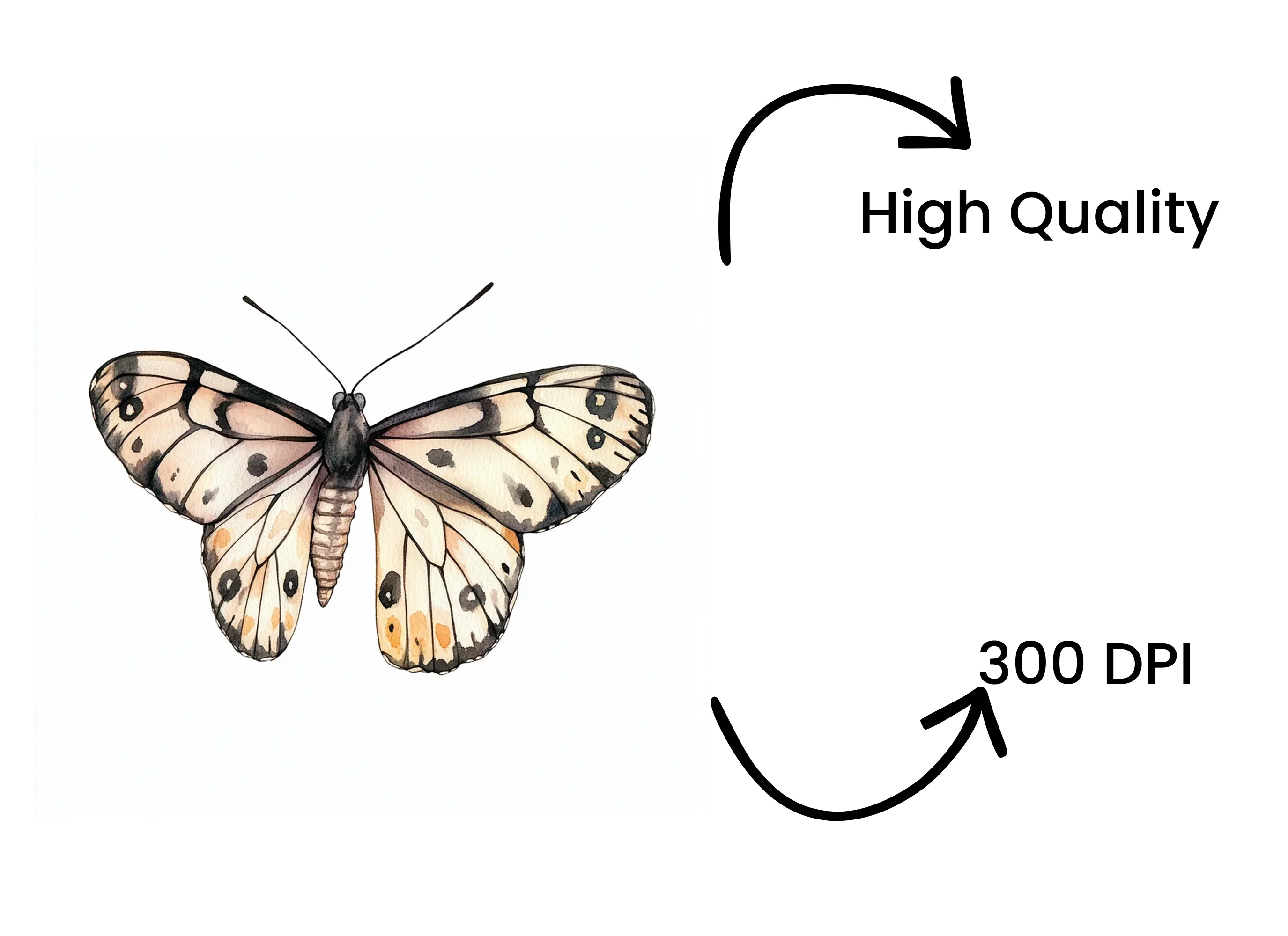Monochromatic Butterfly Clipart Bundle - Image 4