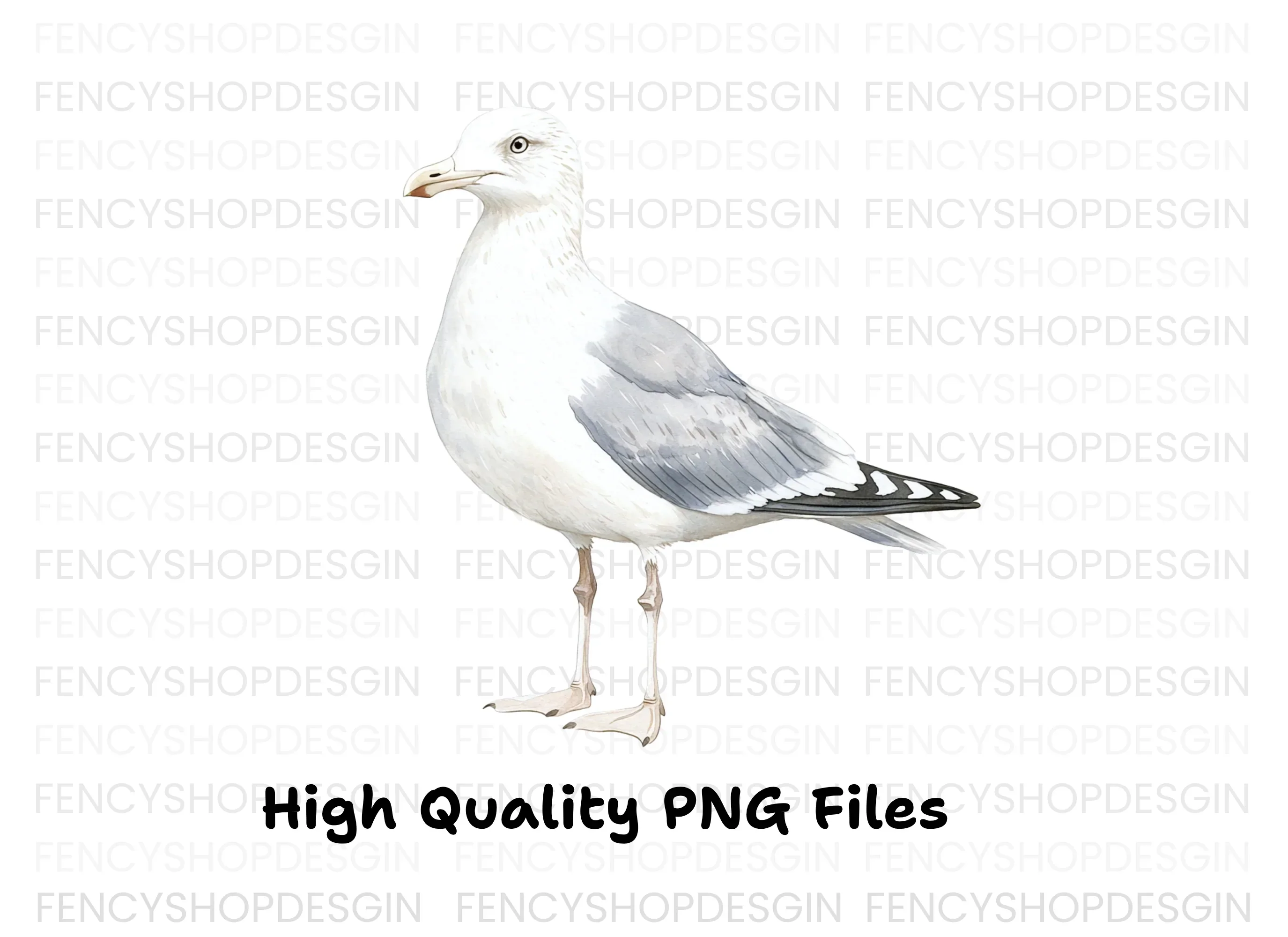 Seagull Side View Clipart Bundle - Image 3