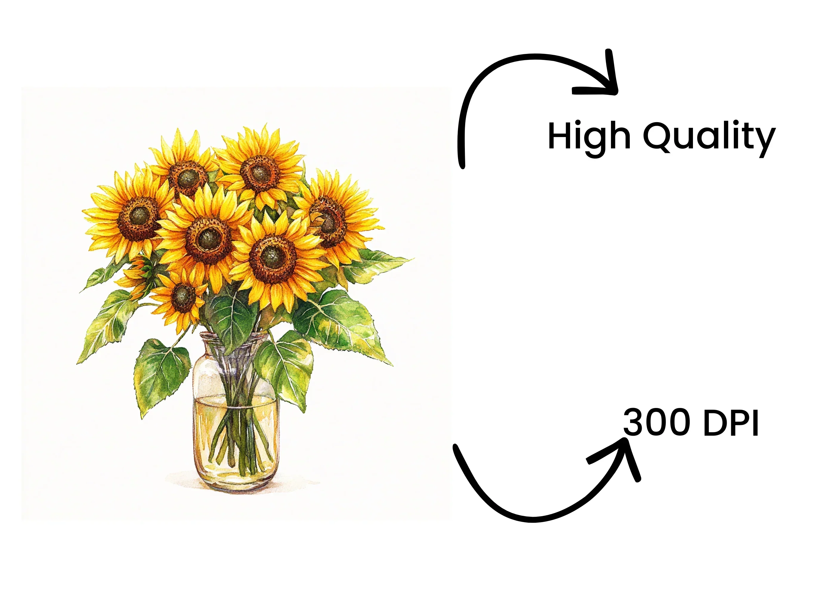 Sunny Sunflower Arrangements in Glass Jars Clipart Bundle - Image 4
